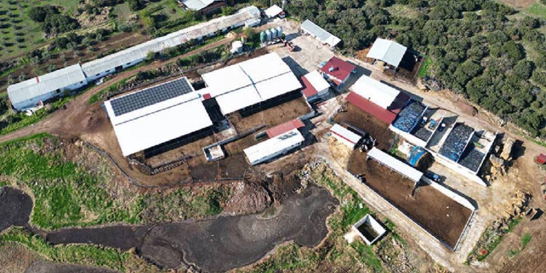 3 ayrı hibe aldı küçük işletmeyi modern tesise dönüştürdü: Şimdi 160 inekten günde 4 ton üretime ulaştı! 1